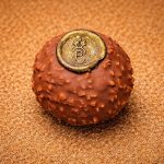 Le Crock'n'Roll, passion praliné