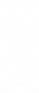 picto pineapple patisserie