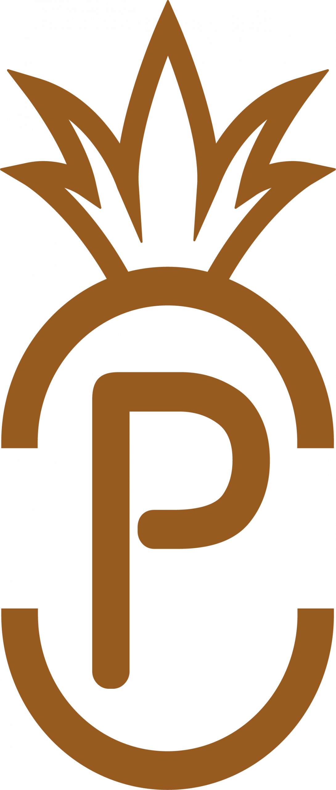 picto de la patisserie pineapple